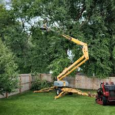 Best Leaf Removal  in Apple Valley, OH